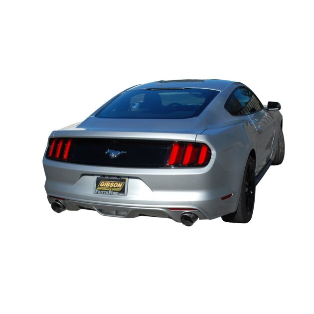 Cat-Back Dual Exhaust System; Stainless