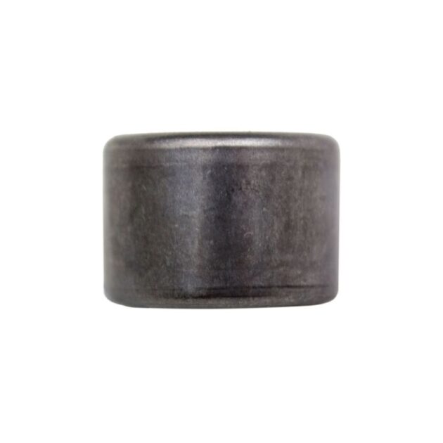 ACT Pilot Bearing