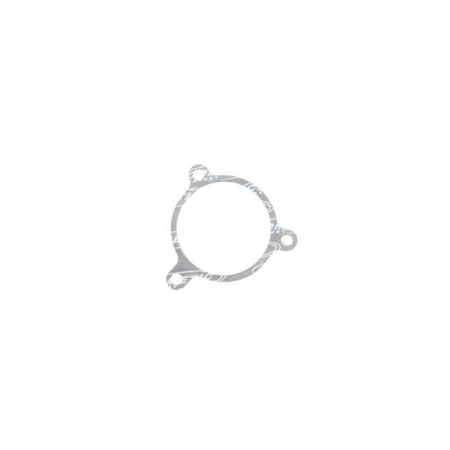 Cometic Gasket Automotive BMW M20B25/M20B27 .020  in Fiber Water Pump Gasket