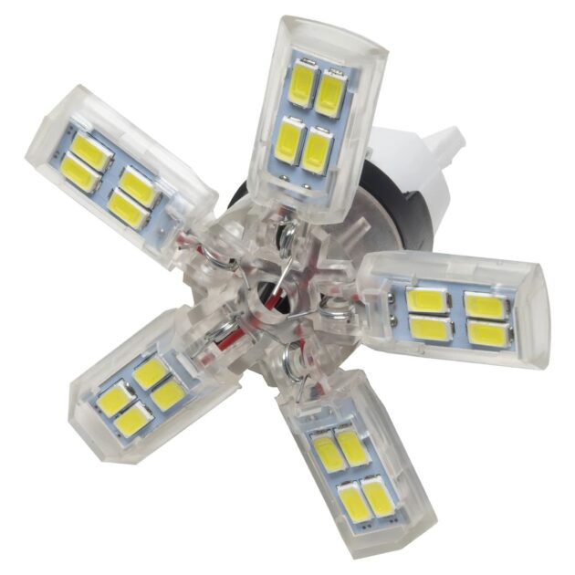 5110-001 - ORACLE 7440 24 SMD 3 Chip Spider Bulb (Single) - Cool White