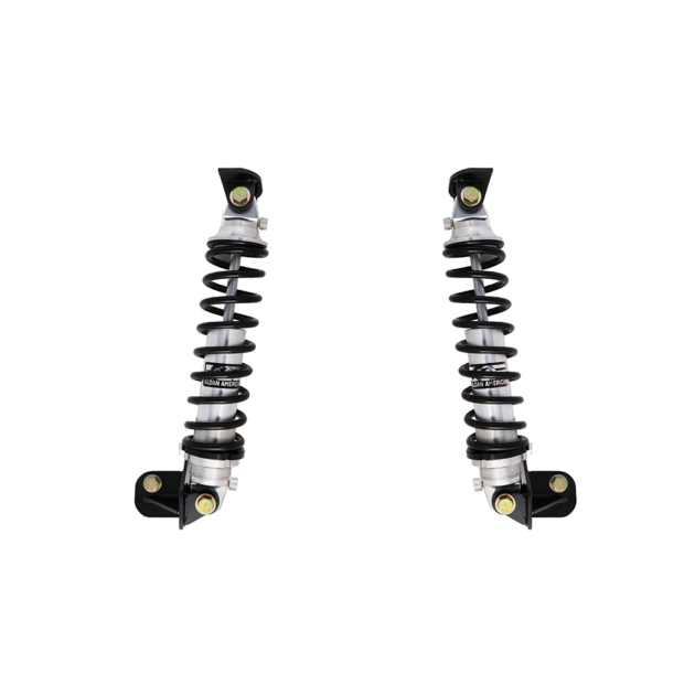 Aldan American Coil-Over Kit, GM G-Body, Rear, Double Adj. 120 lbs. Springs, Full Kit, Bolt-On