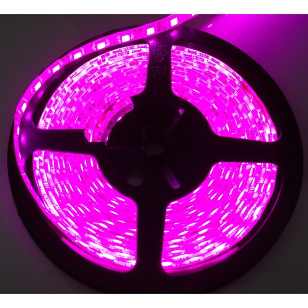 RS-3528-3MP - 9ft (3M) 3528 LED Tape Strip Reel Lighting (Purple)