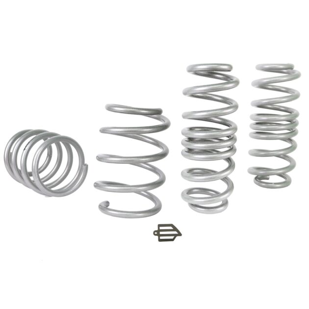 Lowering Spring Kit