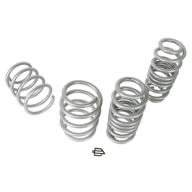 Lowering Spring Kit